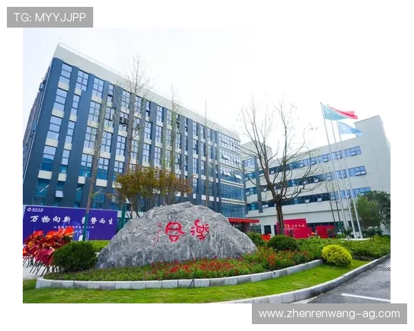 凯发官方手机app：客户服务与技术支持联系方式全解析